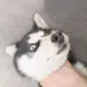 ***