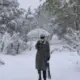 王老六