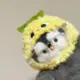 小飞工作室