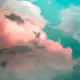 rui
