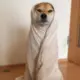 牢兵