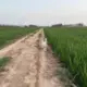 paomo_MC的头像-投影工坊