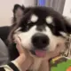 1111q1111的头像-投影工坊