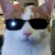 三圈一头猪的头像-投影工坊