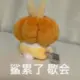 水母v