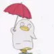 wooll