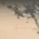 2964307781