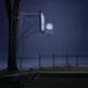 2577367564