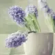 瑾
