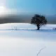 10748719@qq.com