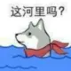 youyou