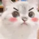张学徒