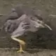wuai