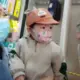 石头