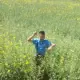 子龙