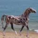 沉木