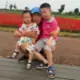 xingyan的头像-投影工坊