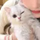 xxs050901的头像-投影工坊