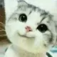 coollong