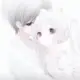 Elebjayced的头像-投影工坊
