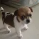 访客