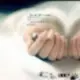 91781391sb的头像-投影工坊