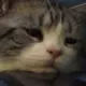 2877