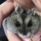 a610152942的头像-天机阁
