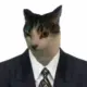 E63fead44af91c2b6