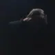 OvO