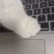 Secret