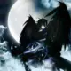 陈暗魔