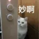 步卒