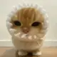 KeithFkTHE9