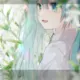 sunami