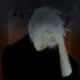 小战哥