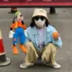 zctl的头像-天机阁