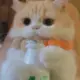 馒头