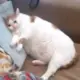 debug