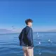 dsrzwb