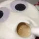 2593819496