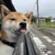燃烧生命力