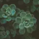 yizhuangyixie的头像-天机阁