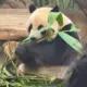 WX111WX的头像-天机阁