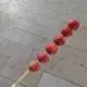 小杨有缘的头像-投影工坊