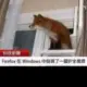 Leon114514的头像-投影工坊