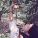 小杰系统