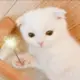 1020688070