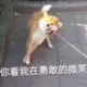 黄飞虎的头像-天机阁