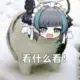 阿杰想撸了的头像-天机阁